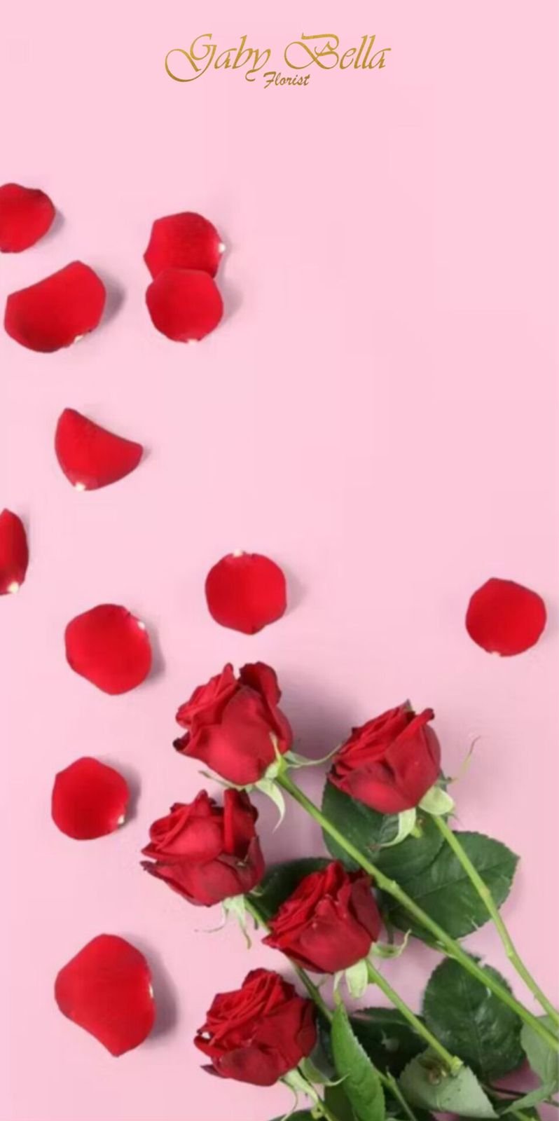 whatsapp image 2026 02 09 at 12.34.27 pm