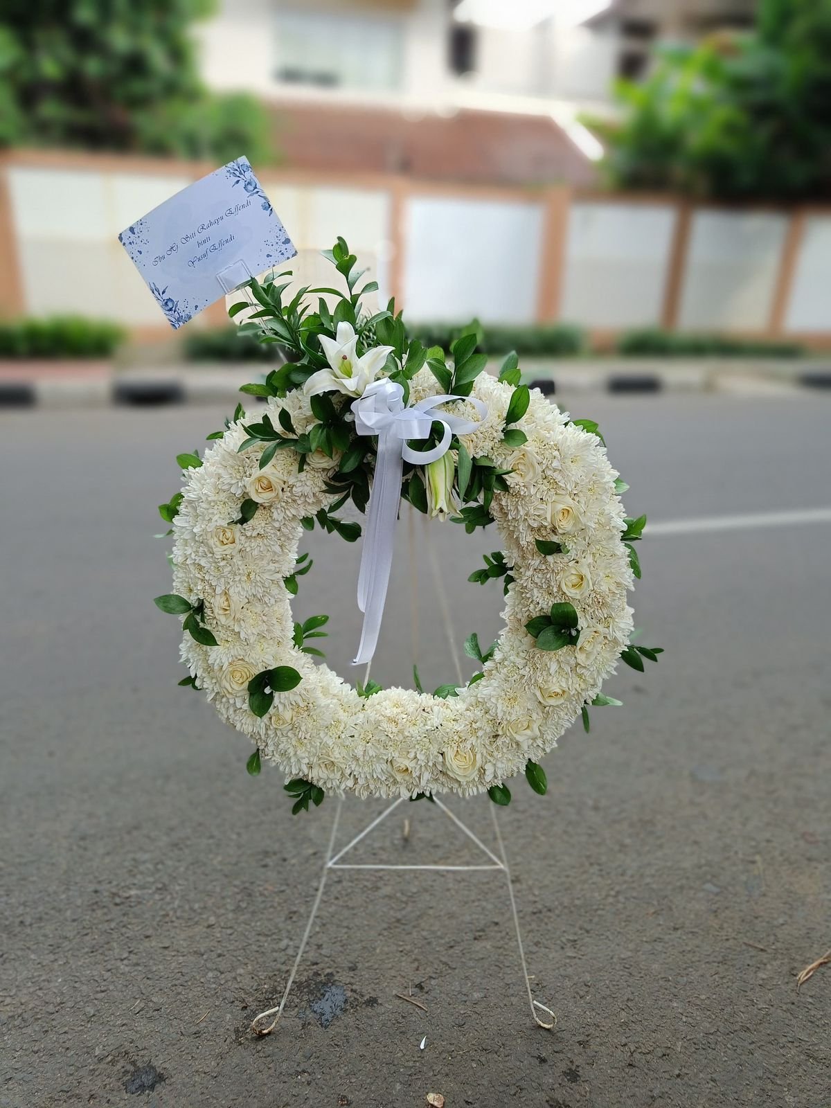 WhatsApp Image 2026 01 07 At 2.46.46 PM 15