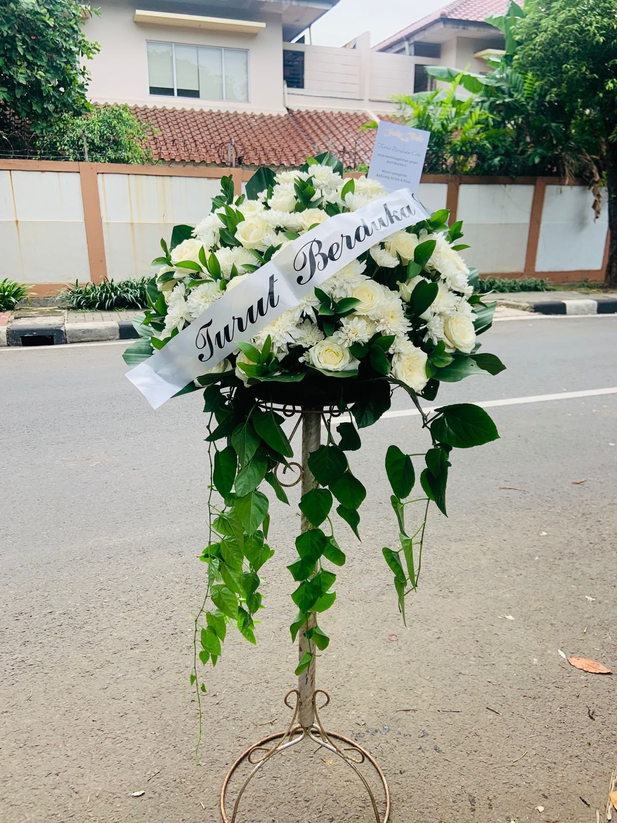 WhatsApp Image 2026 01 07 At 2.46.46 PM 16