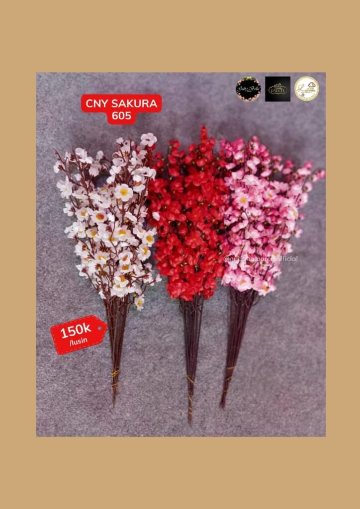 WhatsApp Image 2026 02 02 At 5.06.38 PM 724x1024