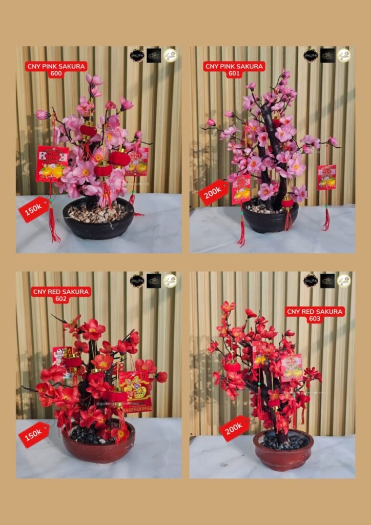 WhatsApp Image 2026 02 02 At 5.06.39 PM 724x1024